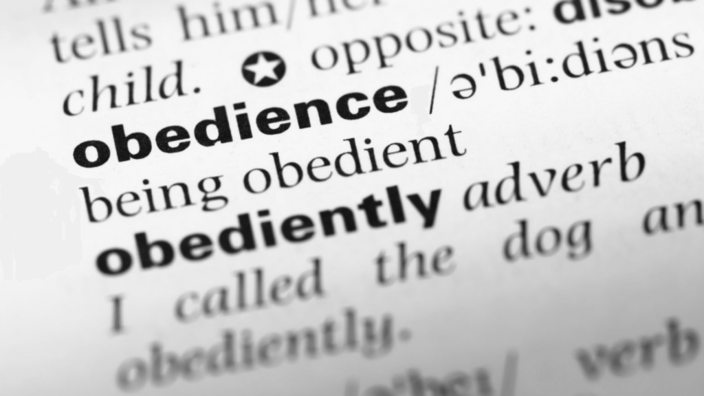 Obedience definition in the dictionary.